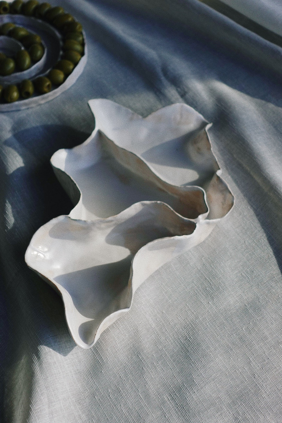 Concha tray