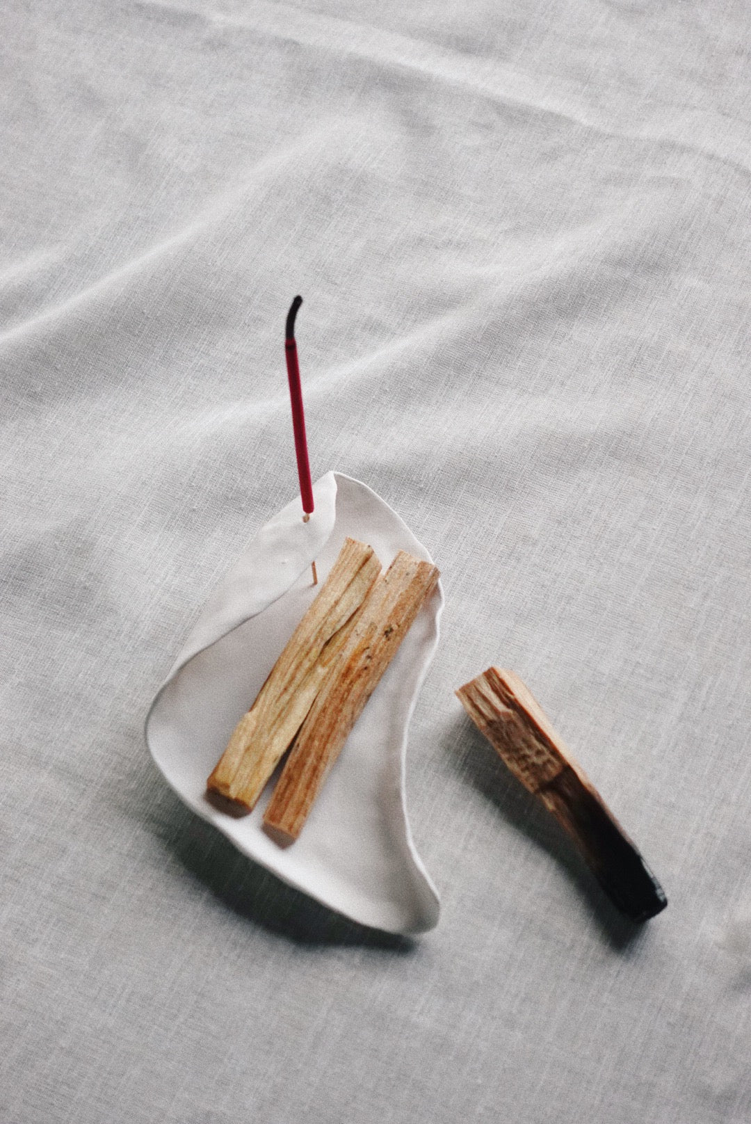 Concha incense holder