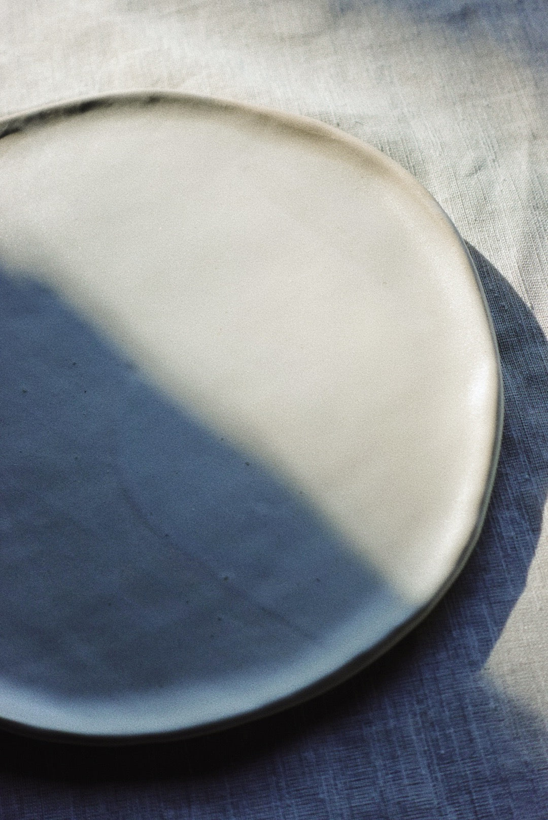 Seashell dinner plate