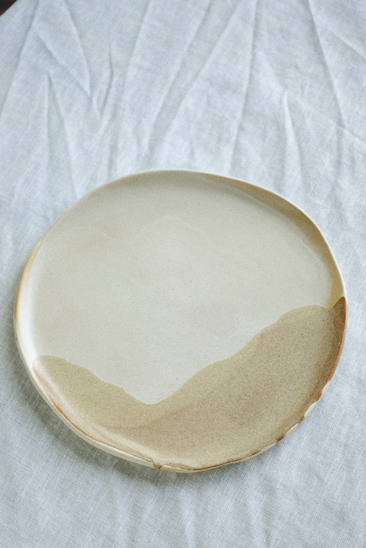 Dinner plate color combo C