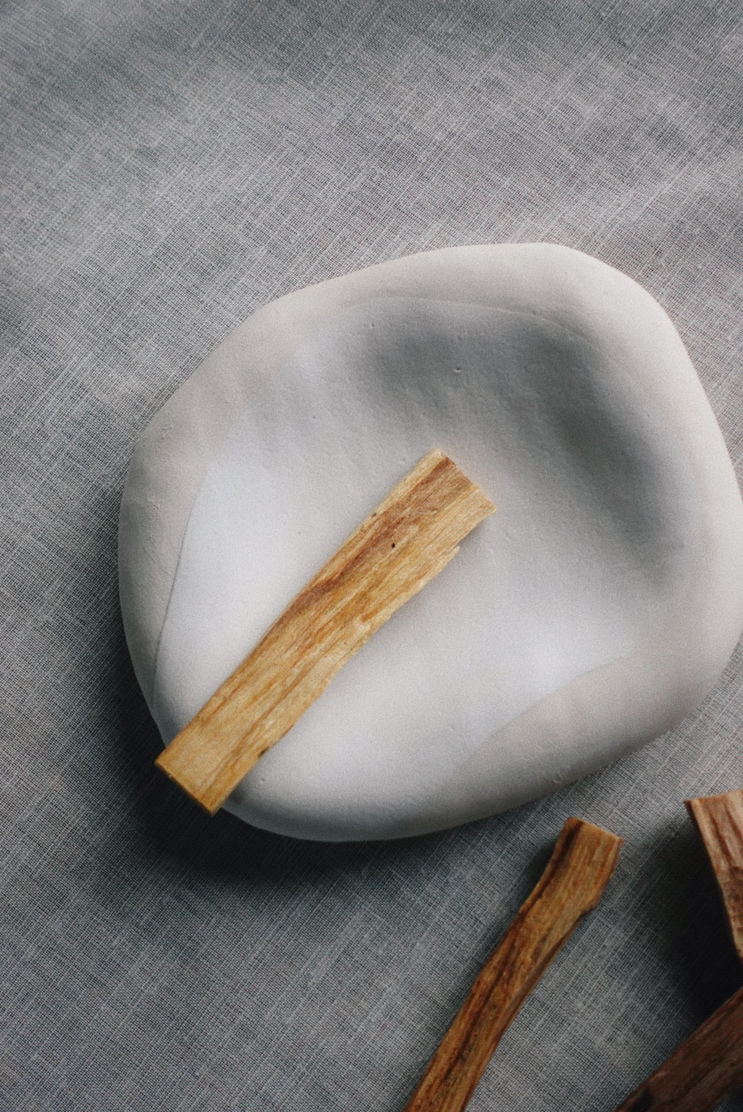 Fossil tray