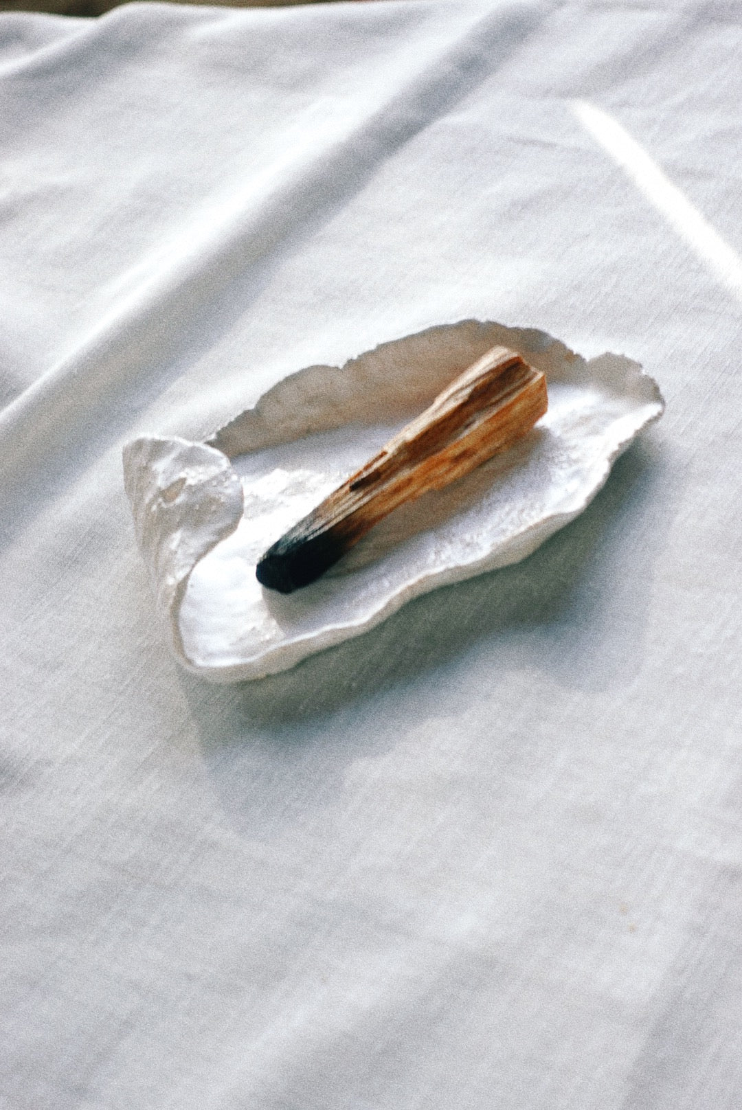Concha incense holder