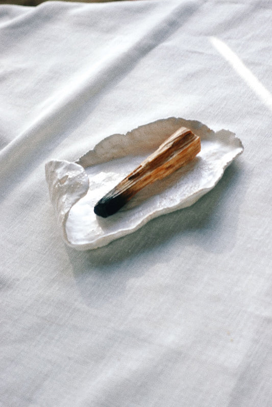 Concha incense holder