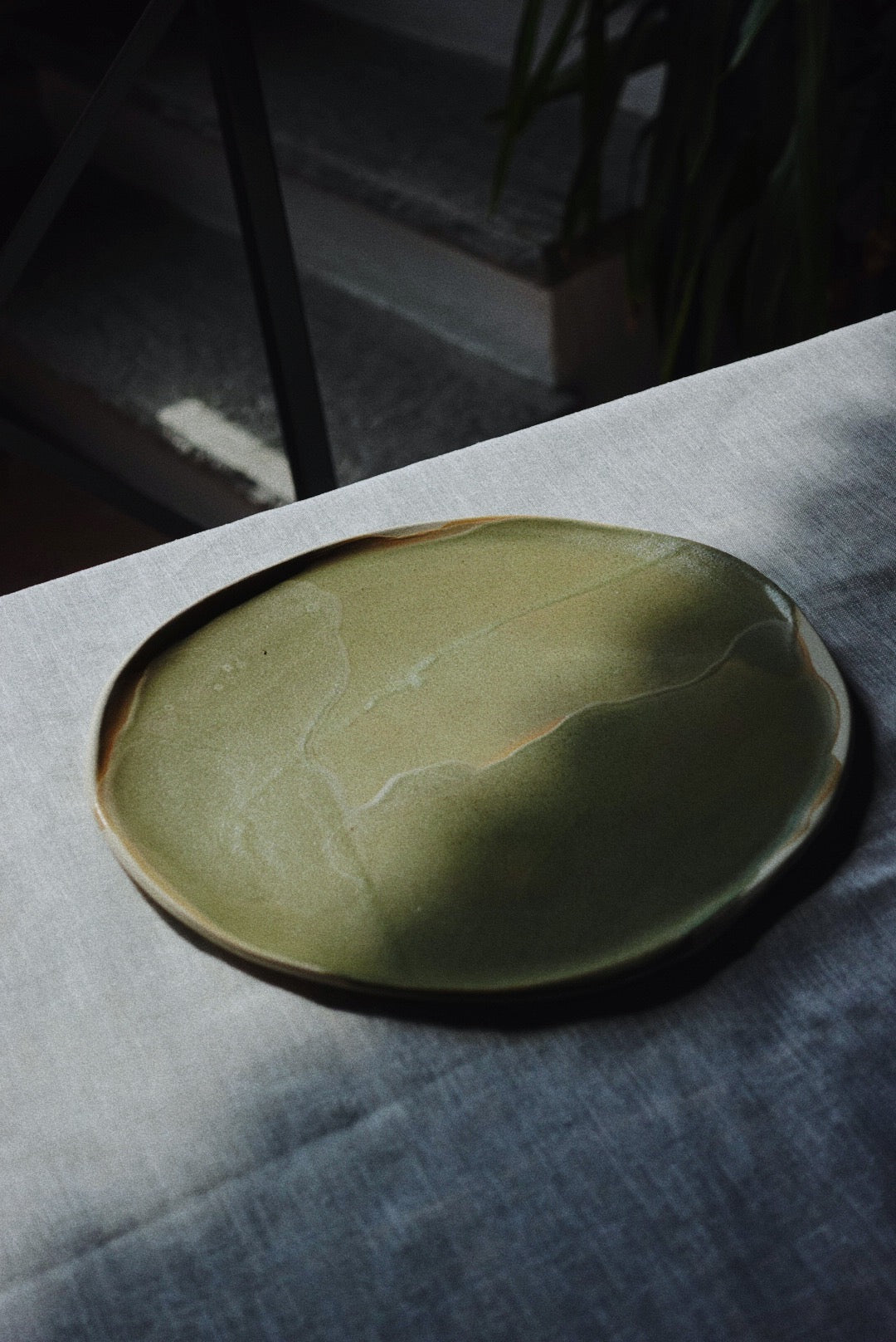 Olive dinner plate