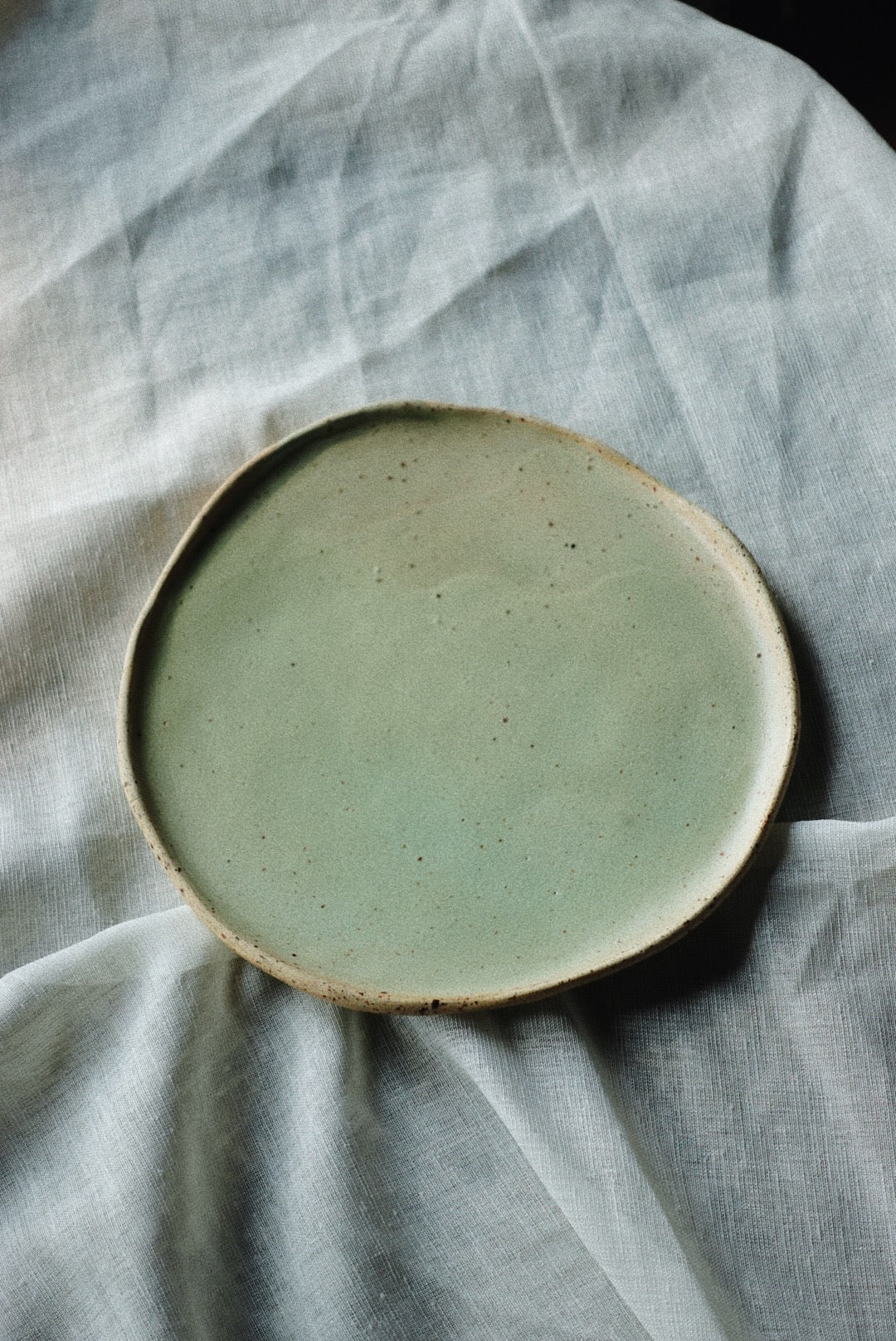 Lichen speckled dessert plate