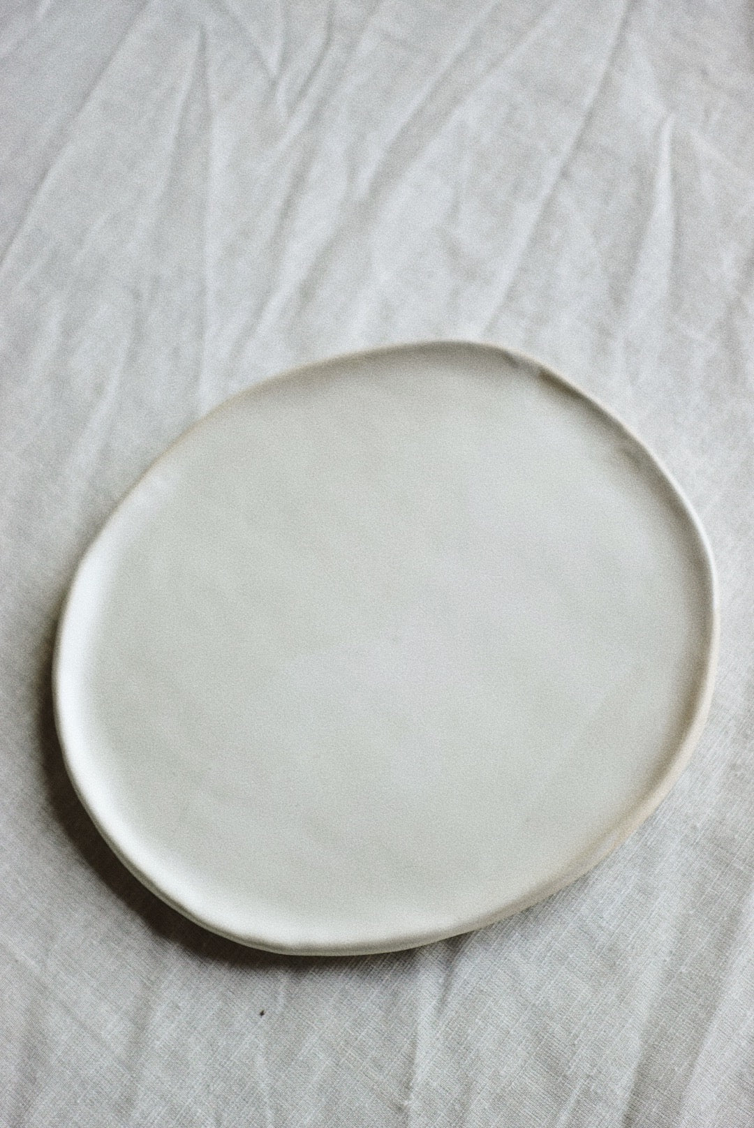 Seashell dinner plate