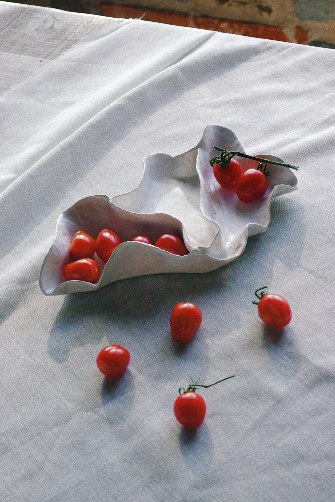 Concha tray