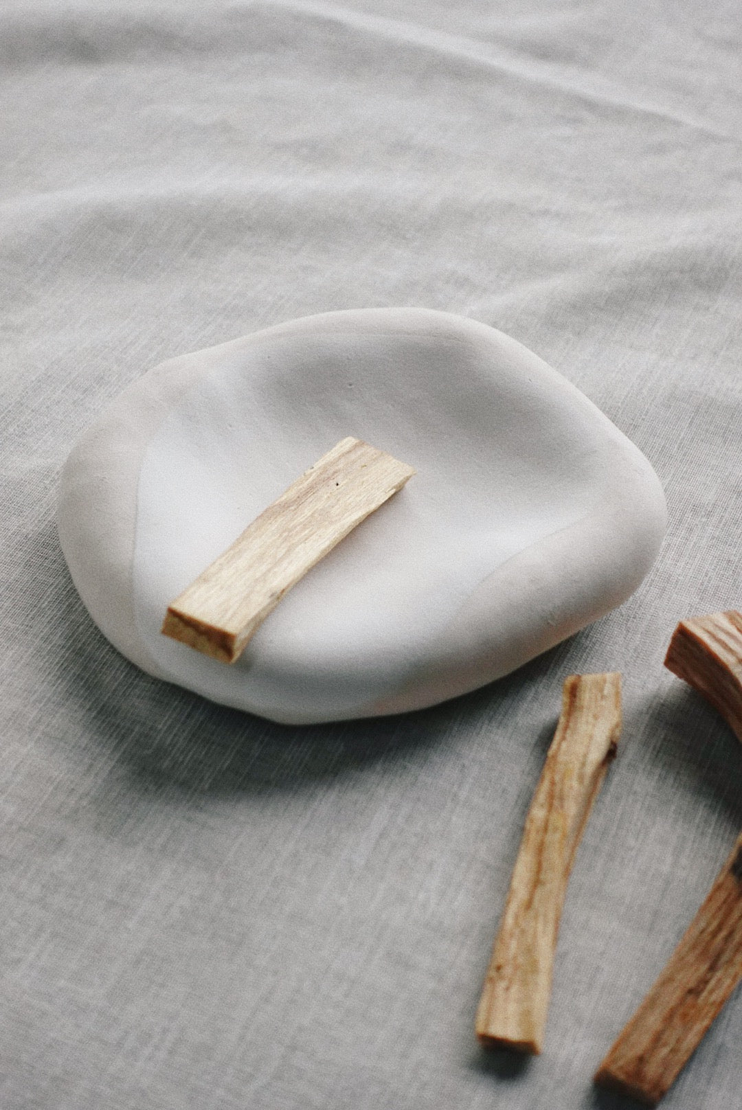 Fossil tray
