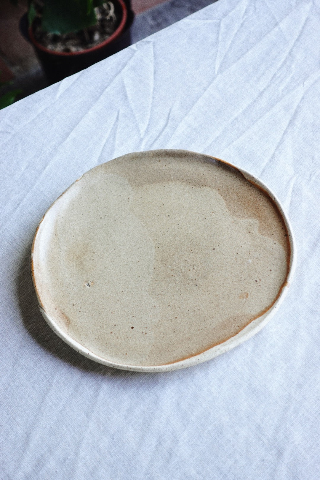 Dinner plate Color combo B