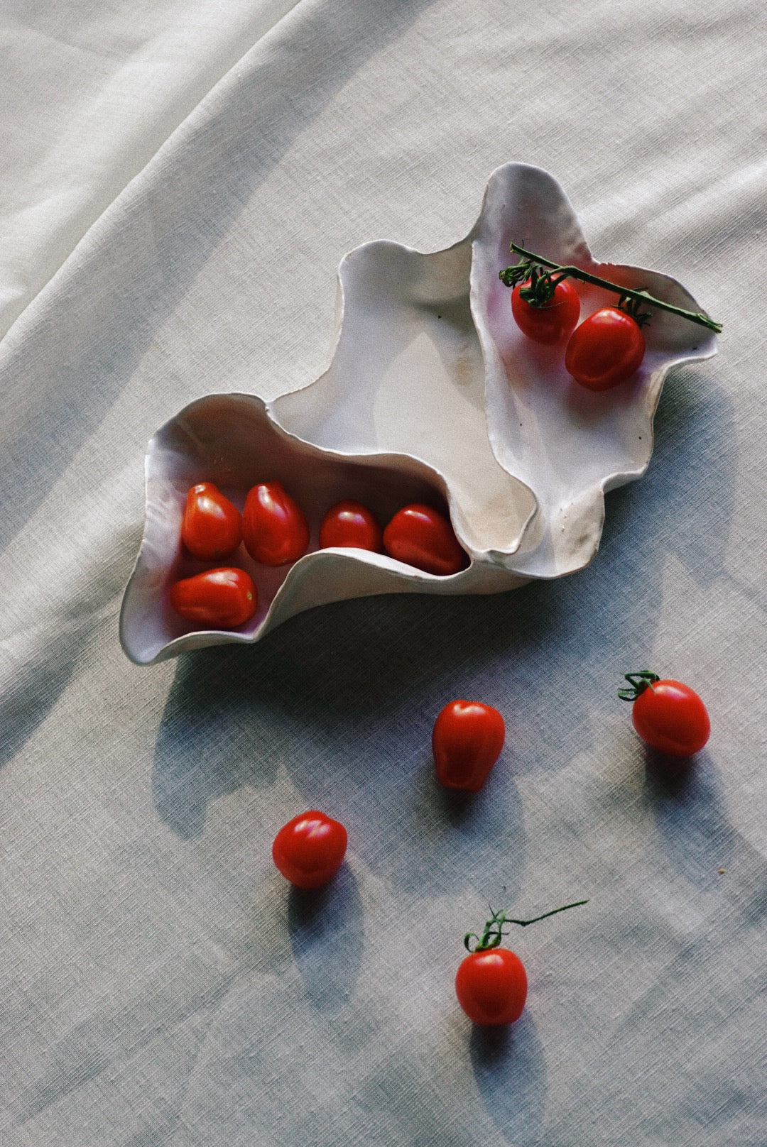 Concha tray