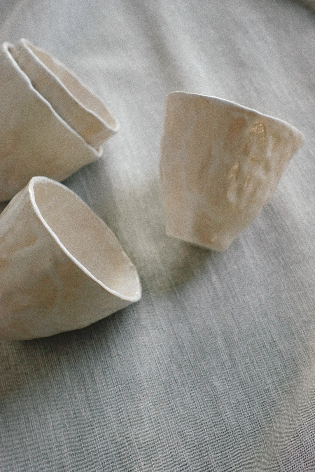 Concha cups 01