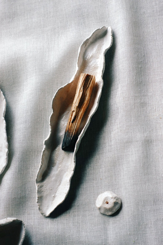 Concha incense holder