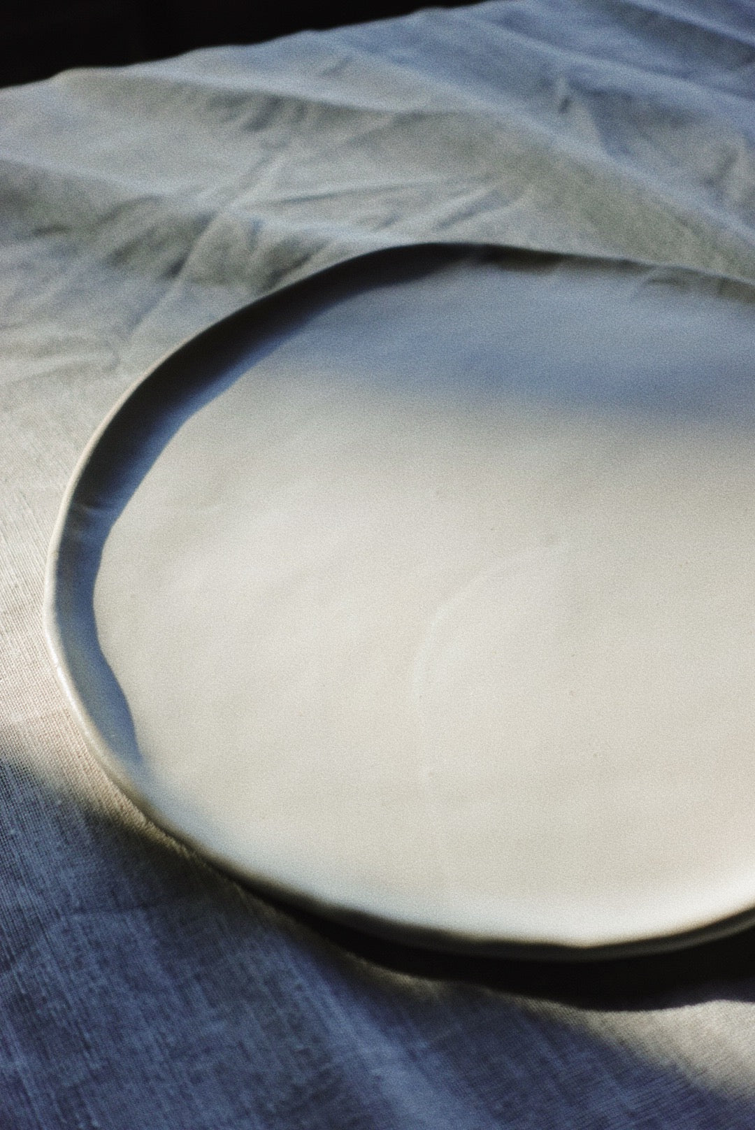 Seashell dinner plate