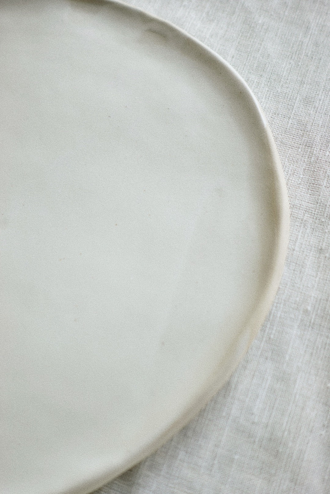 Seashell dinner plate