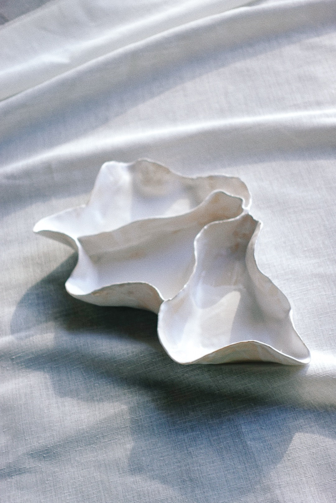 Concha tray
