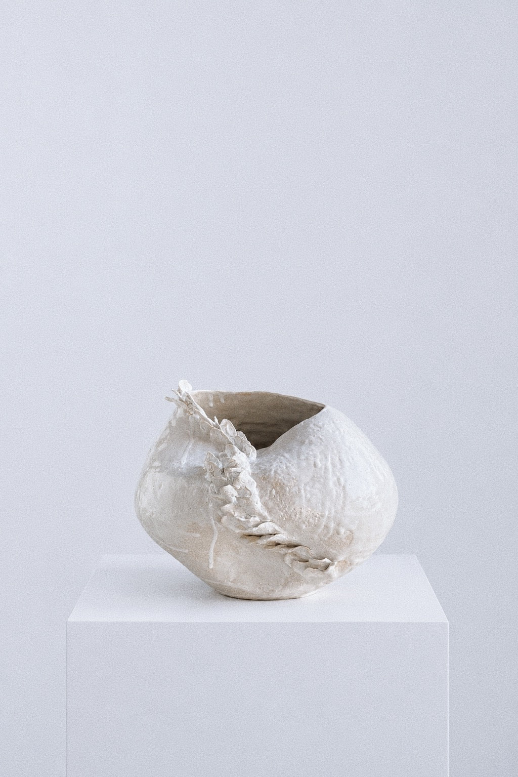 Ivory Bloom