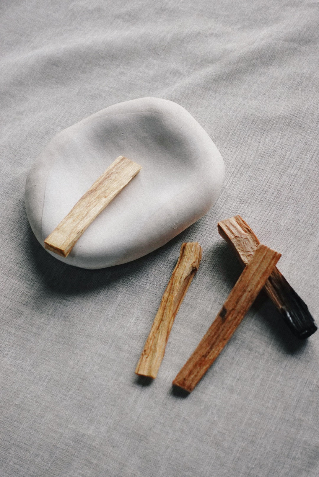 Fossil tray